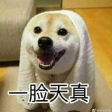 Noah搬砖中