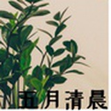 五月清晨