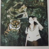 兔子小贼