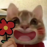 叫什么名字呢