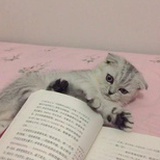 爱学习的喵
