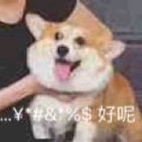 Tokunaga