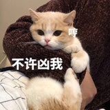一级冲浪选手
