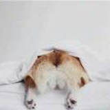 槿凌