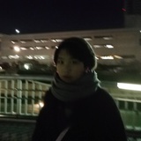 安博林
