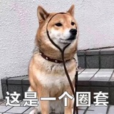 小机灵鬼