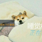 轻轻在你耳边说