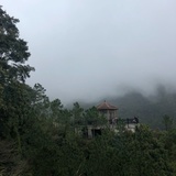 静静