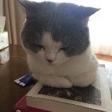 熬夜不眠