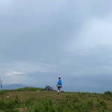 不将就的D