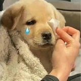 重度精神患者
