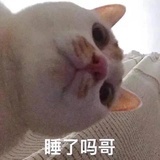 旺旺碎冰冰