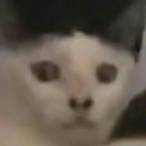 小松