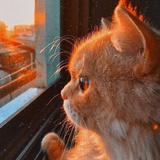 🌥️