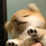银河撒落的糖