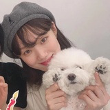向日葵