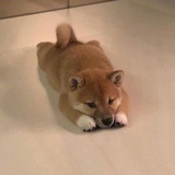 阿珧