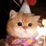 🧸