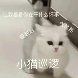 几个小目标ᐥᐜᐥ
