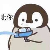 不吃🐟的猫
