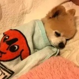 阿里嘎少