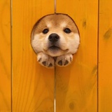 人