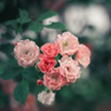 游览时代