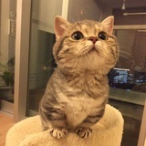 不要再熬夜