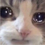 泥塑弟弟