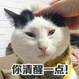 今天要吃啥