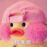 爱吃兔子的🥕