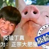 杀美国人的🐷