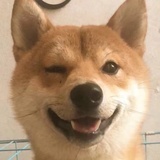 村头二狗子