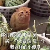 非非非非同学