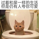 是星星的宇宙