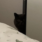 夜深我还不想睡