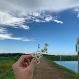 晓庆