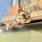 是你的女孩啊。
