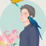 菊以菊开