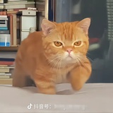 六度陈伟伟