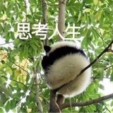 境