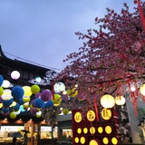饭团1993