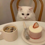 二十五画生