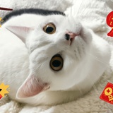 就微笑了啊