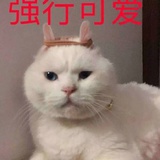 马小跳