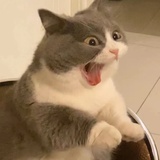 火锅吃不饱