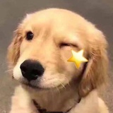 呱呱大侠