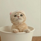 七海ナナミ