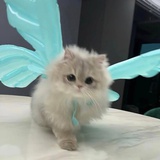 闭上小嘴巴