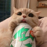 天上掉下来